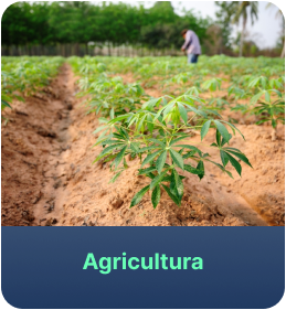 agricultura